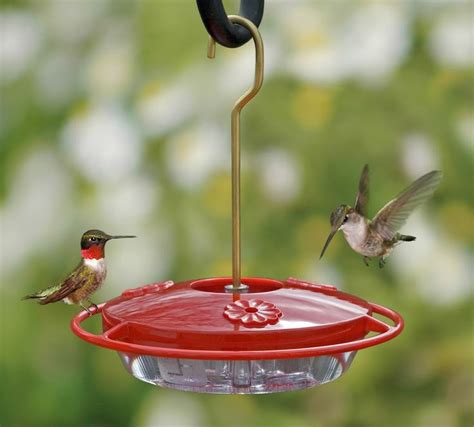 DIY Hummingbird and Oriole Nectar - Cheery Kitchen | Recipe | Humming ...