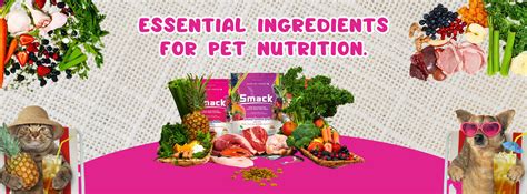 Unveiling the Benefits of Smack Pet Food: A Nutrient-Rich, Natural ...