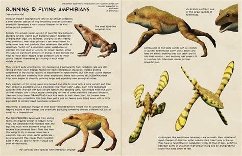 speculative evolution – Page 2 – Nix Illustration