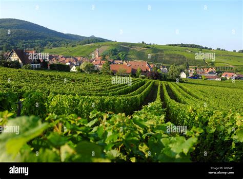 Alsace Lorraine High Resolution Stock Photography and Images - Alamy