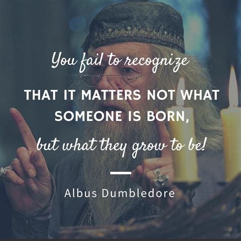 Dumbledore Quotes | Text & Image Quotes | QuoteReel