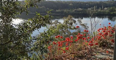 Best Camping in and near Nowra Showground