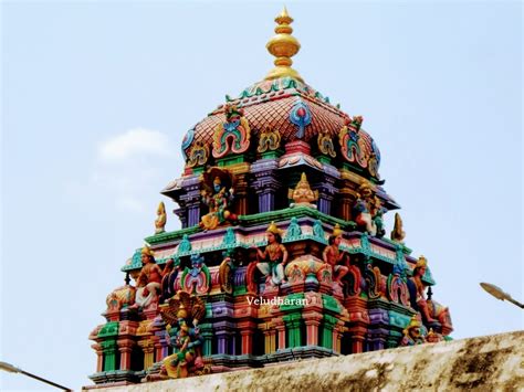 A Wandering Heritager: BHU VARAHA SWAMY TEMPLE, SRIMUSHNAM IN CUDDALORE ...