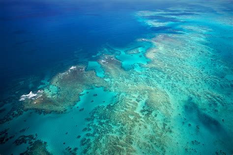 Great Barrier Reef Politics – Countercurrents