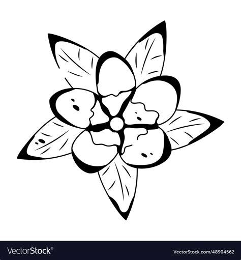 Plumeria flower Royalty Free Vector Image - VectorStock