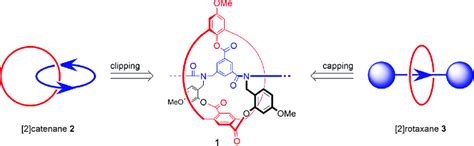 Schematic plan of the synthesis of a [2]catenane (2) and a [2]rotaxane ...