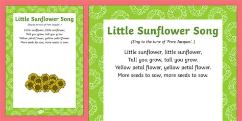 Little Sunflower Song (teacher made) - Twinkl