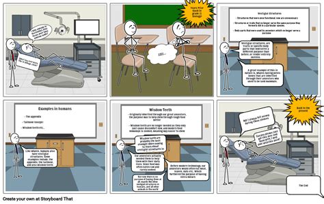 Evolution Comic Strip Storyboard by b564e264