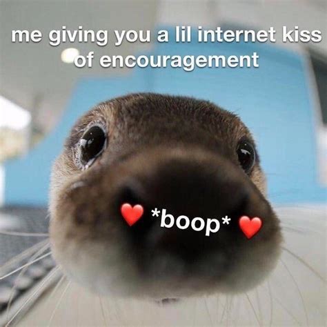 Boop - Meme by Aaroneljugon1_origin :) Memedroid