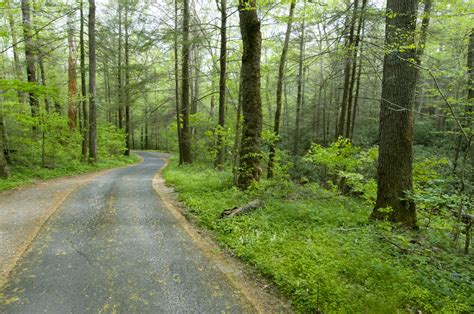 Roaring Fork Motor Nature Trail | gsmnp