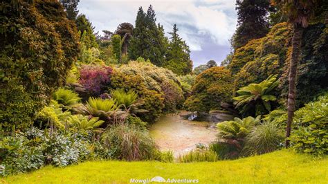 The Lost Gardens of Heligan | Cornwall's Hidden Gem | Lost garden, Lost ...