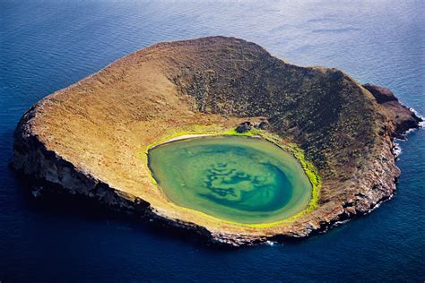 Save the Galapagos With GMO Rats. What Could Go Wrong? | WIRED