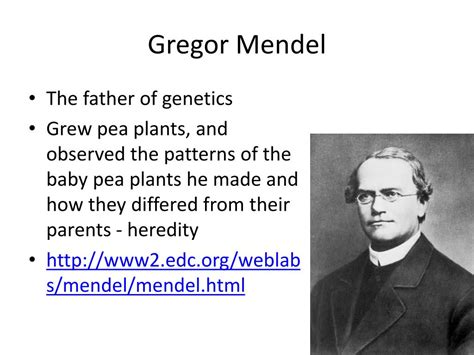 PPT - Gregor Mendel PowerPoint Presentation, free download - ID:2320779