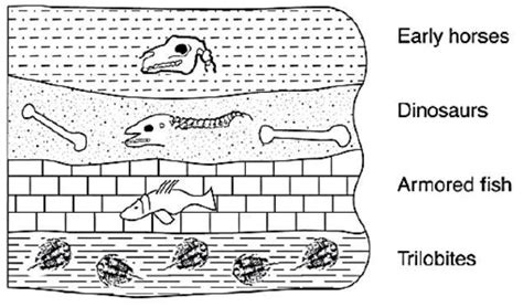 Sedimentary Rock Layers Diagram