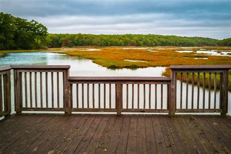 Rocky Neck State Park