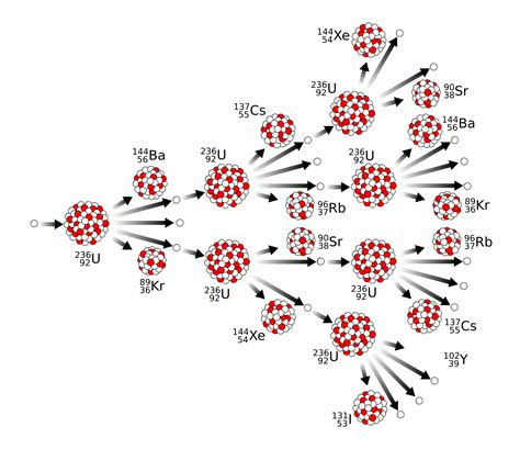 File:Nuclear fission chain reaction.svg - Wikimedia Commons