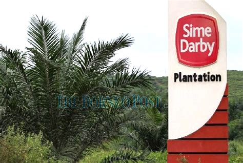 Sime Darby Plantation exits Liberia operations