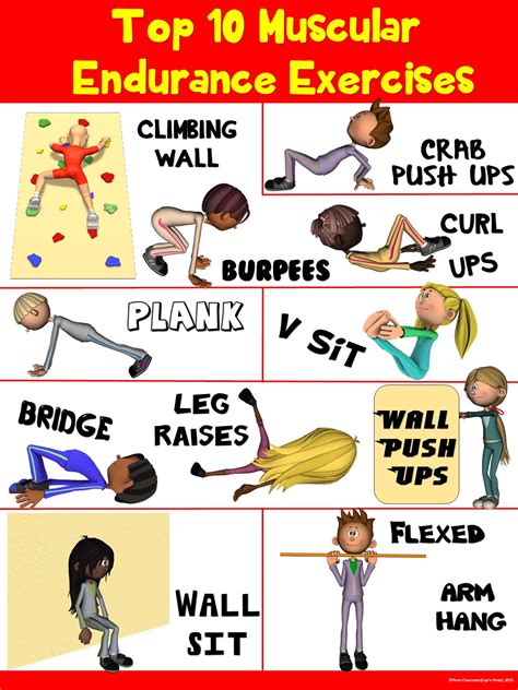 PE Poster: Top 10 Muscular Endurance Exercises | capnpetespowerpe