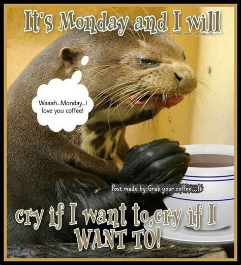 It's Monday, and I'll cry if I want to, cry if I want to. | Funny ...