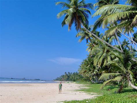 6 Beaches in Colombo for a Fun Time (2024) | Holidify