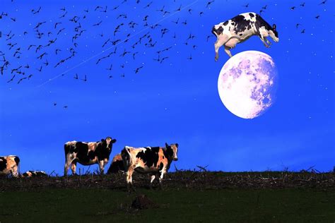 cow jumped over the moon Nursery Rhymes, Nursery Art, Canada Images ...