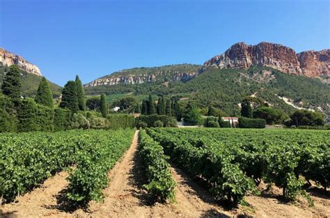 15 Best Provence Wine Tours & Wine Tastings for 2023