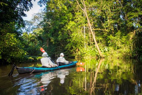 Amazon Kayaking Tour Linking Luxury Lodges of Yasuni National Park