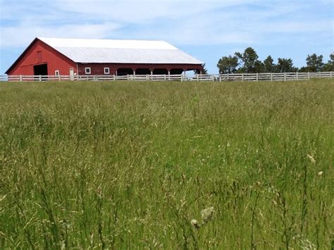 Free Images : field, farm, lawn, meadow, prairie, barn, pasture ...