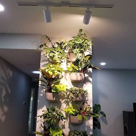 Luxury Plant Lighting for Home & Commercial Decor - Soltech Solutions ...