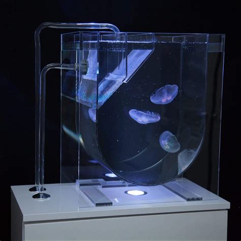 Medusa 45 Premium Jellyfish Aquarium - UK Jellyfish