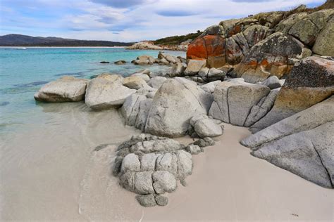 Where to See Penguins in Tasmania