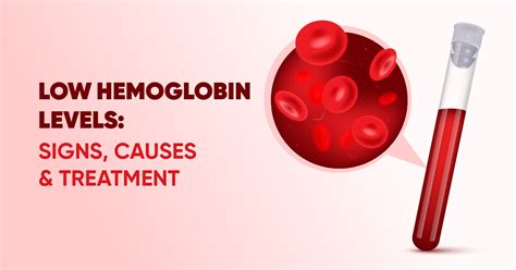 What Is Hemoglobin?, 42% OFF | www.elevate.in