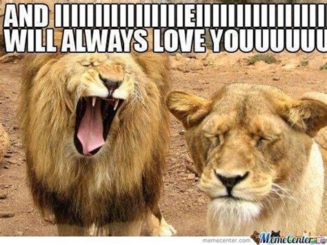 25 Lion Memes That Will Make You Feel Like a King in 2021 | Funny love ...