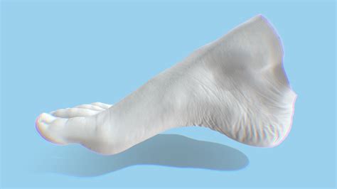 Woman's Foot 3D Scan - Buy Royalty Free 3D model by Arkify 3D (@arkify ...