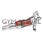 Elbow to Knee Side Plank Crunch (male)