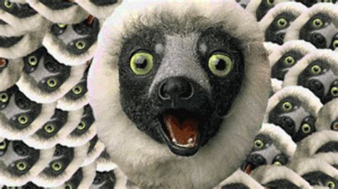 Zoboomafoo GIFs - Find & Share on GIPHY