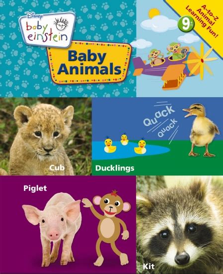 The Store - BABY ANIMALS - Book - The Store