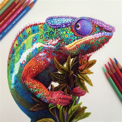 Chameleon Sketch on Behance