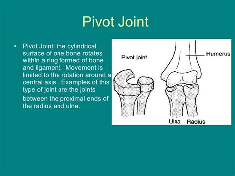 Joints powerpoint