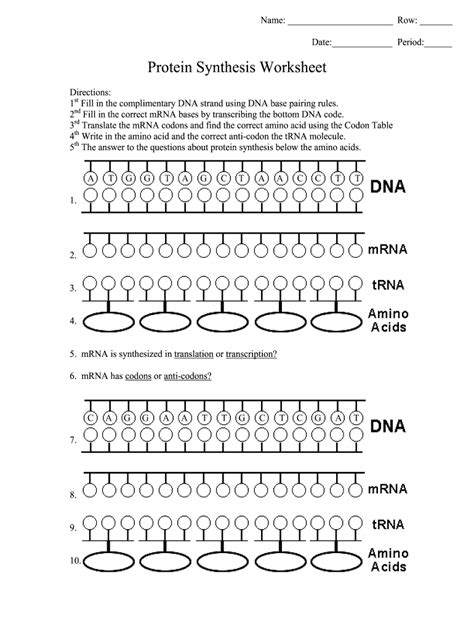 Protein Synthesis Worksheet Answer Key – Pro Worksheet