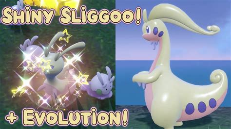 Shiny Sliggoo + Goodra Evo! - Pokemon Violet (Badge Quest #14) - YouTube