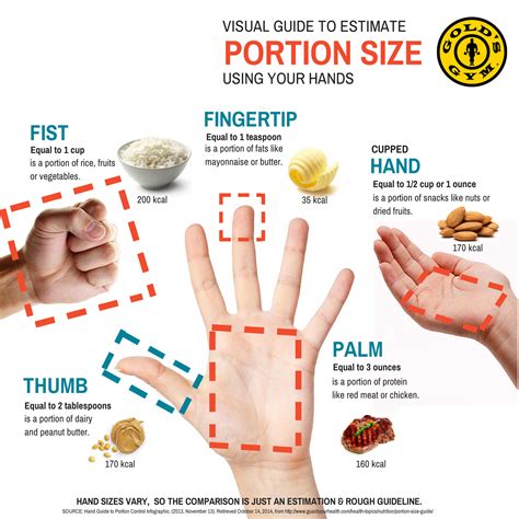 Portion size | Nutrition infographic, Portion sizes, Portion size guide