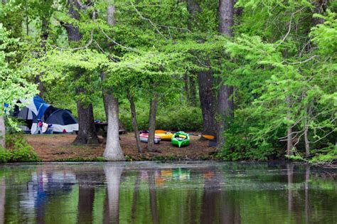 Trap Pond - Delaware State Parks | State parks, Camping spots ...