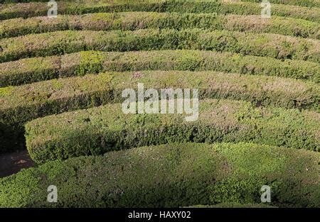 Aerial view, labyrinth, hedge maze, Landesgartenschau Country Garden ...