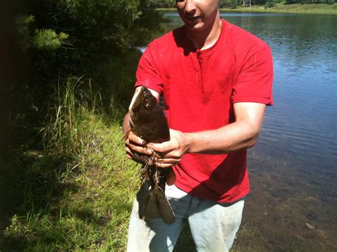 HarleysList: Fishing Quabbin Reservoir Father's Day