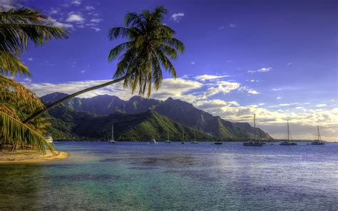 Moorea Wallpapers - Top Free Moorea Backgrounds - WallpaperAccess