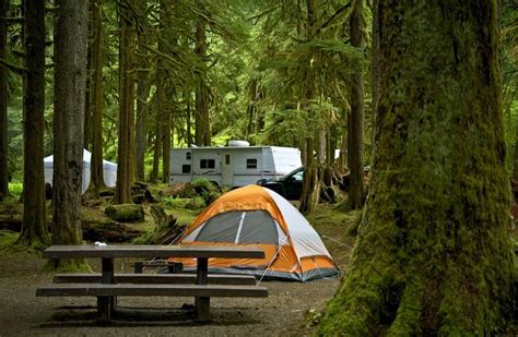 The Best Camping in Olympic National Park - Beyond The Tent