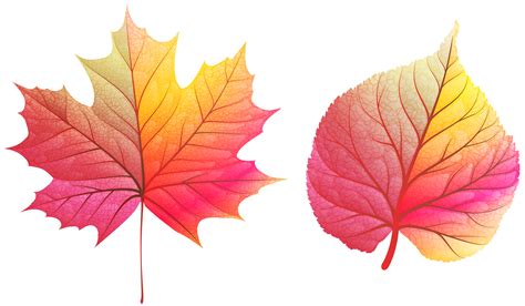 colorful fall leaves clip art 20 free Cliparts | Download images on ...