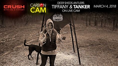 The Crush Live Deer Cam | Tiffany Lakosky Finds Whitetail Sheds on Live ...