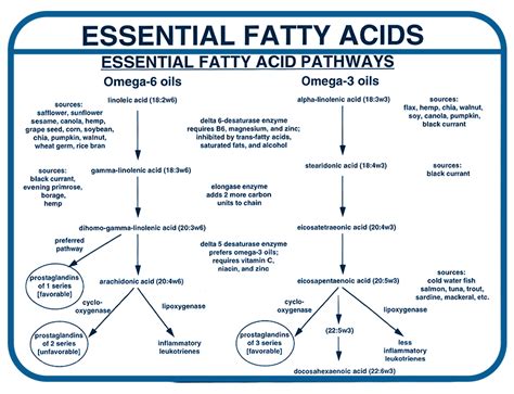 No More Fish Oil (Inflammation, Asthma, and Gastritis) – J.D. Moyer